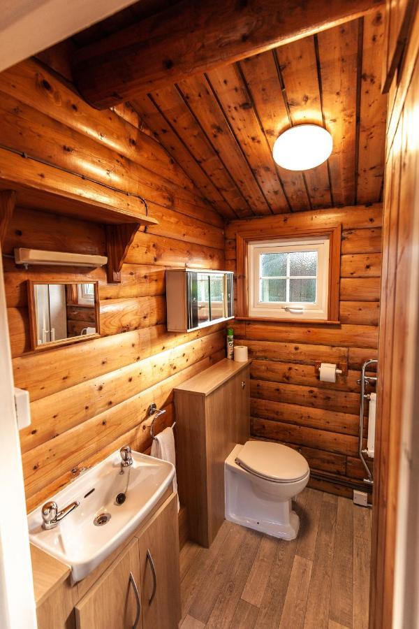 Cosy Log Cabin In Heart Of Snowdonia By Seren Property Trawsfynydd Εξωτερικό φωτογραφία